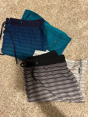 Speedo Men's Swim Trunks (2 pairs)